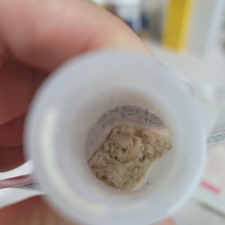 나초단맘님이 올린 리뷰 사진 2