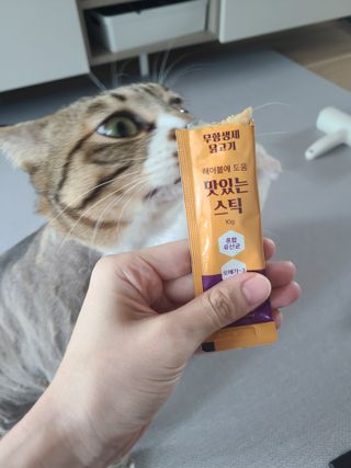 페페로니 맛있는 스틱 - 무항생제 닭고기 15개 + 원양선 참치 15개 — 5점을 준 리뷰어가 2021년 8월 올린 사용 사진