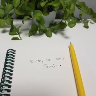 지니야님이 올린 리뷰 사진 4