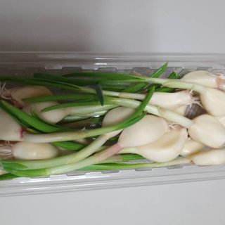수니니님이 올린 리뷰 사진 3