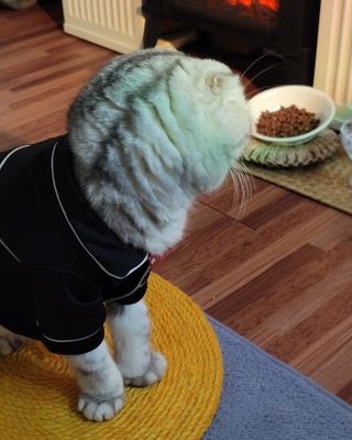 유햐님이 올린 리뷰 사진 2