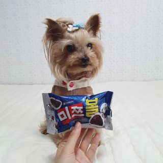 솜희님이 올린 리뷰 사진 2