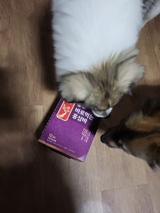 오둥이맘님이 올린 리뷰 사진 2