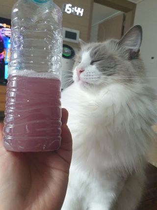 로크찡님이 올린 리뷰 사진 4