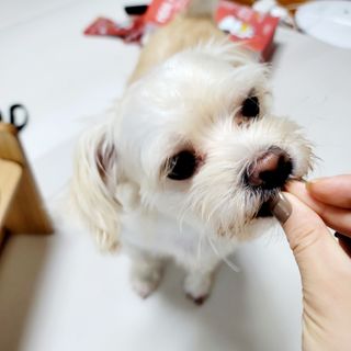 mejoom님이 올린 리뷰 사진 2