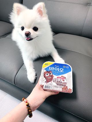 순덕아맘마먹자님이 올린 리뷰 사진 1