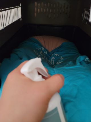llalla님이 올린 리뷰 사진 3