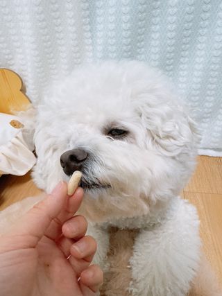 지혜님이 올린 리뷰 사진 1