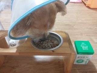 5냥2멍님이 올린 리뷰 사진 4