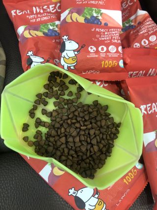 [푸디웜] 라포그  리얼인섹트 관절 저알러지 강아지 사료  1.2KG — 5점을 준 리뷰어가 2022년 8월 올린 사용 사진