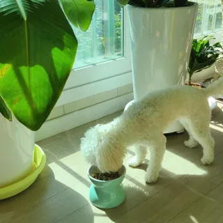 열매님이 올린 리뷰 사진 3