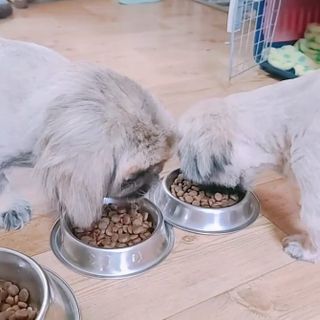 러블리혜교님이 올린 리뷰 사진 4
