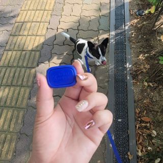 노이님이 올린 리뷰 사진 1