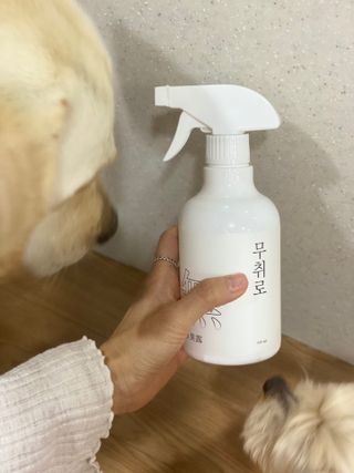 정봐기린님이 올린 리뷰 사진 2
