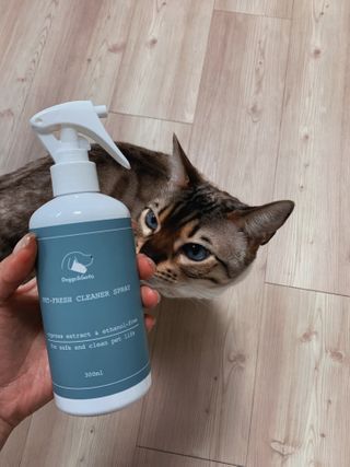 어린이님이 올린 리뷰 사진 2