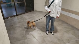 꿀냥이님이 올린 리뷰 사진 1