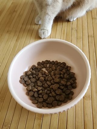누구냐넌님이 올린 리뷰 사진 3
