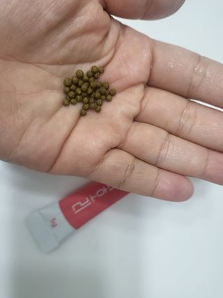 푸카푸카님이 올린 리뷰 사진 1