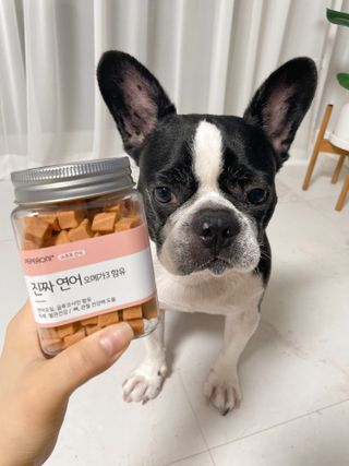 페페로니 진짜 오메가3 연어+소고기 180g+180g — 5점을 준 리뷰어가 2021년 7월 올린 사용 사진