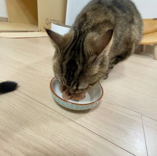 kimkim님이 올린 리뷰 사진 4