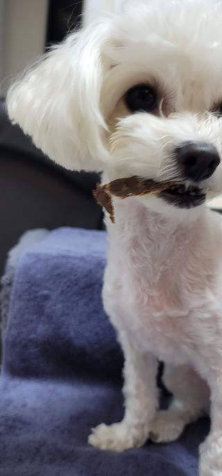 최홍규님이 올린 리뷰 사진 3