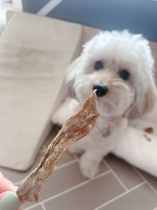 연쨩님이 올린 리뷰 사진 1