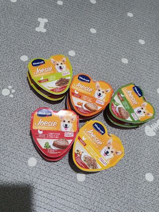 비타크래프트 조에시 하트캔 85g 강아지 습식캔 10캔 — 5점을 준 리뷰어가 2021년 9월 올린 사용 사진