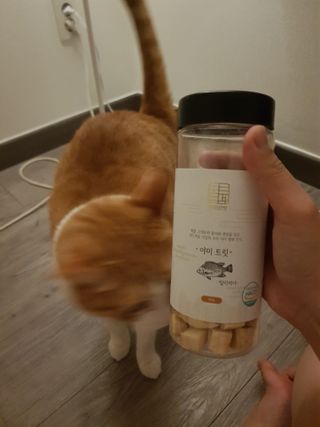 냥냥짱님이 올린 리뷰 사진 1