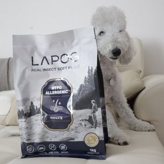 [푸디웜] 라포그 리얼인섹트 소프트키블 스킨 1KG — 5점을 준 리뷰어가 2022년 9월 올린 사용 사진