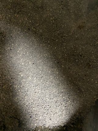 단발소녀님이 올린 리뷰 사진 1