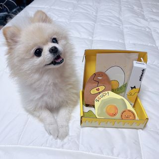 송유미님이 올린 리뷰 사진 2