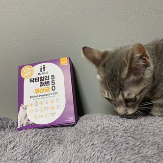 현님이 올린 리뷰 사진 2