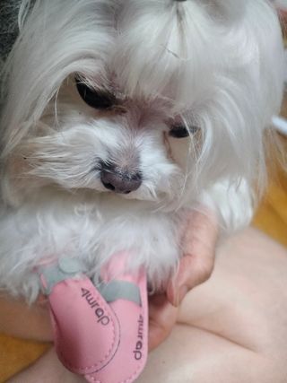 cherishlim님이 올린 리뷰 사진 4