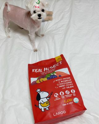 메리님이 올린 리뷰 사진 4