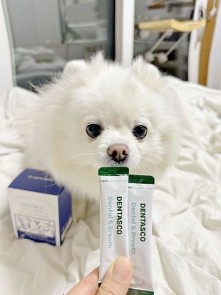 은지공주님이 올린 리뷰 사진 2