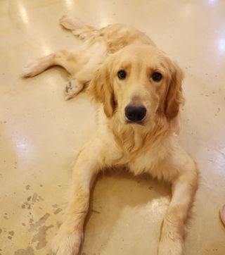안젤라mj님이 올린 리뷰 사진 4