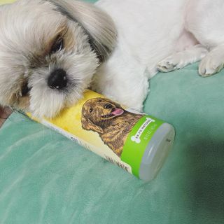 츄자매뽐까님이 올린 리뷰 사진 2