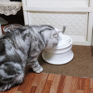 유햐님이 올린 리뷰 사진 1