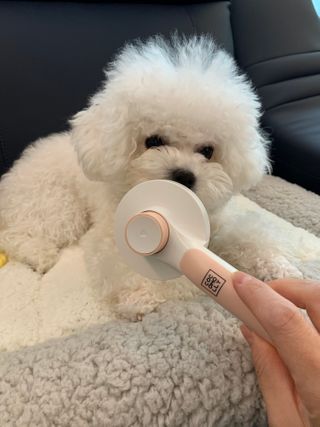 큐티윤님이 올린 리뷰 사진 3
