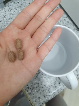 슬림플래닛 녹차카테킨 500mg 애프터밀 — 4점을 준 리뷰어가 2021년 10월 올린 사용 사진