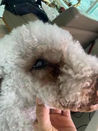 진용김님이 올린 리뷰 사진 2