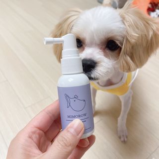 원땡잉님이 올린 리뷰 사진 3