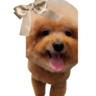 진시님이 올린 리뷰 사진 4