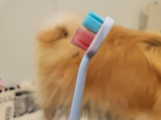 좋아님이 올린 리뷰 사진 4