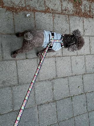 달콤오기님이 올린 리뷰 사진 1
