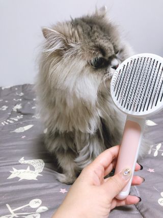 꼬끼오님이 올린 리뷰 사진 4