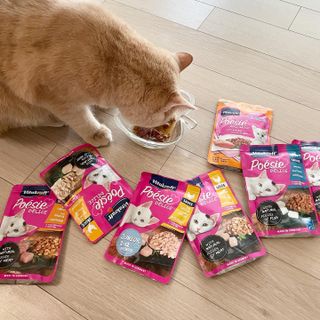 비타크래프트 포에시 델리스 고양이 파우치 85g 9가지맛 1팩씩 — 5점을 준 리뷰어가 2021년 8월 올린 사용 사진