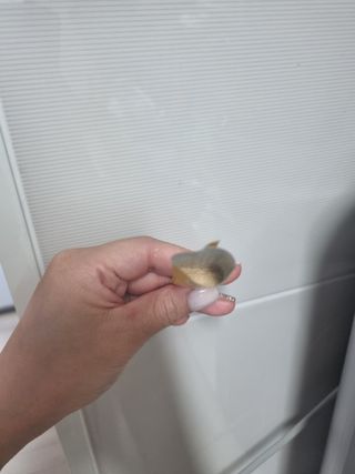 단지단지님이 올린 리뷰 사진 3