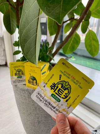 sooa님이 올린 리뷰 사진 1