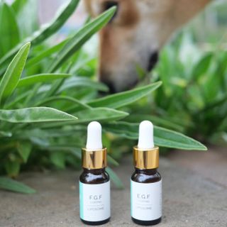 랑팡 EGF+FGF 10ppm 리포좀 앰플 원액 10ml — 5점을 준 리뷰어가 2021년 10월 올린 사용 사진